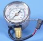 cng pressure gauge